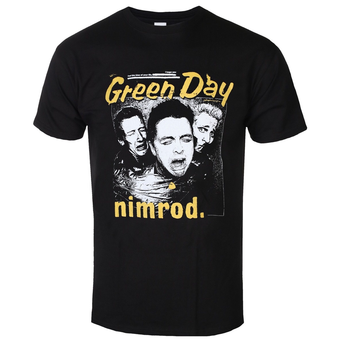 Green Day Distressed Faded Ban - Band Tee Faded 90S 评论和价格